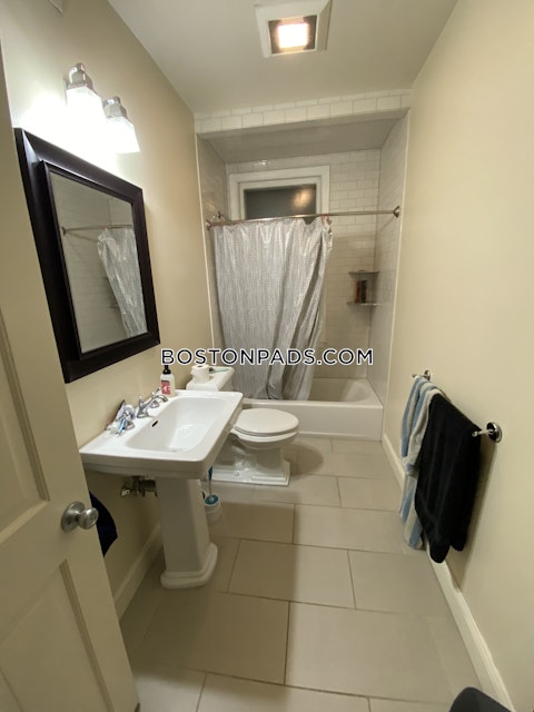 Juniper St. Boston photo 12