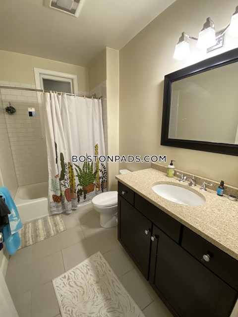 Juniper St. Boston photo 16