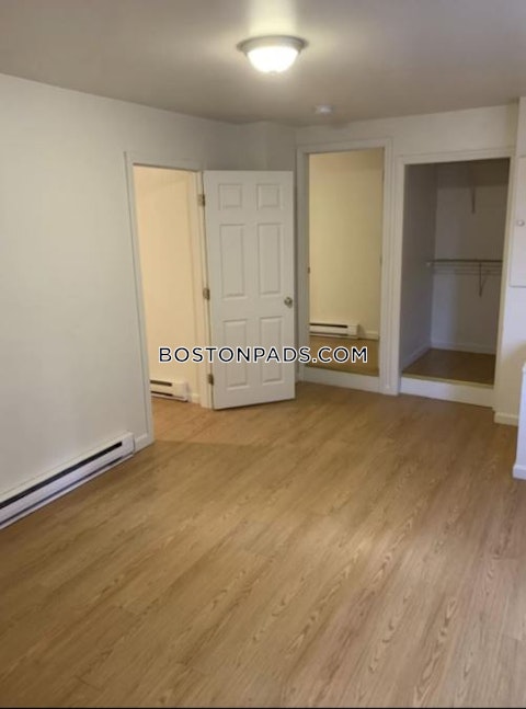 Shepherd Ave. Boston photo 16