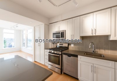 Cambridge Apartment for rent 2 Bedrooms 2 Baths  Mt. Auburn/brattle/ Fresh Pond - $4,250 No Fee