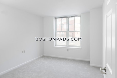 Massachusetts Ave Cambridge photo 9