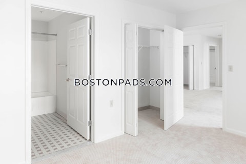 Massachusetts Ave Cambridge photo 8