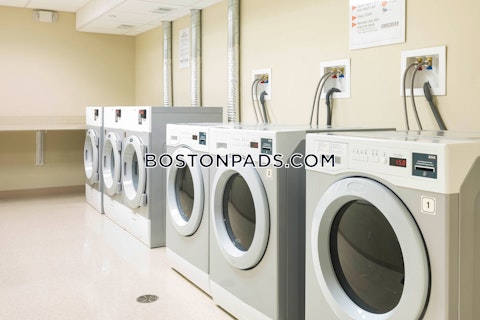 Massachusetts Ave Cambridge photo 3