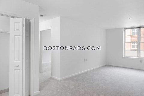 Massachusetts Ave Cambridge photo 7