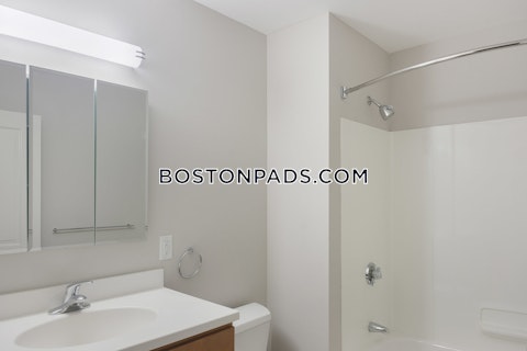 Massachusetts Ave Cambridge photo 10