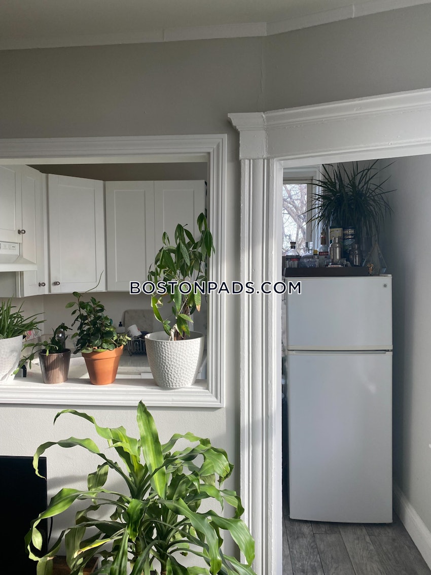 BOSTON - ALLSTON - 1 Bed, 1 Bath - Image 12