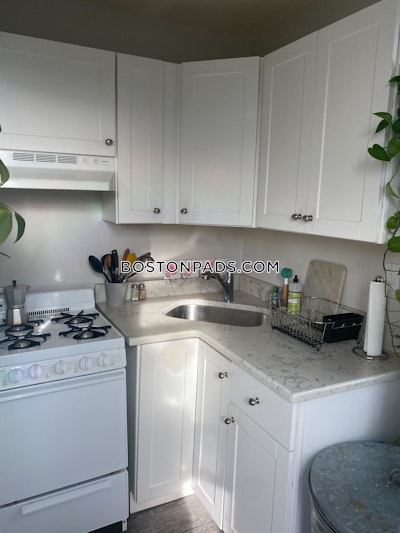 Allston Apartment for rent 1 Bedroom 1 Bath Boston - $2,700 No Fee