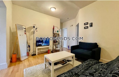 Brookline Apartment for rent 3 Bedrooms 1 Bath  Boston University - $5,035 No Fee