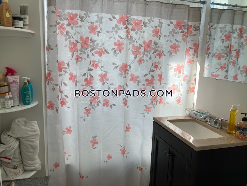 BOSTON - ALLSTON - Studio , 1 Bath - Image 6