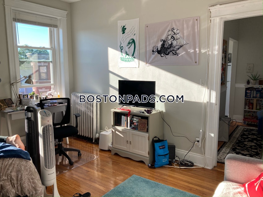 BOSTON - ALLSTON - Studio , 1 Bath - Image 4