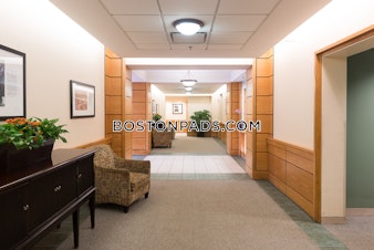 Massachusetts Ave Cambridge