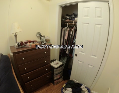 Commonwealth Ave. Boston photo 5