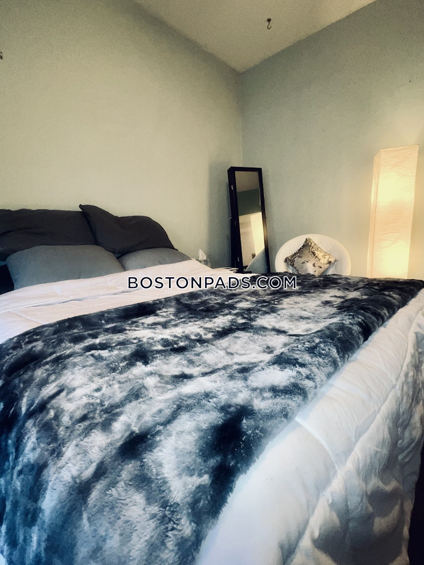 BOSTON - BRIGHTON - CLEVELAND CIRCLE - 2 Beds, 1 Bath - Image 13