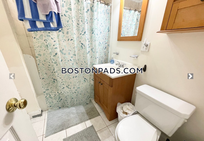 BOSTON - ROXBURY - 1 Bed, 1 Bath - Image 7