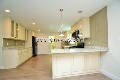 Cambridge Apartment for rent 2 Bedrooms 2 Baths  Mt. Auburn/brattle/ Fresh Pond - $3,500