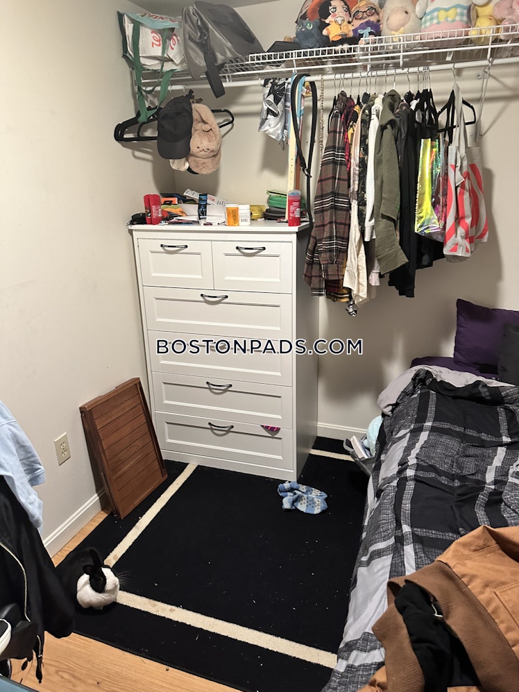 Shepherd Ave., Boston