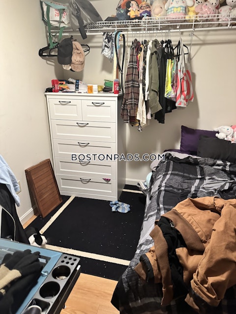 Shepherd Ave. Boston photo 20