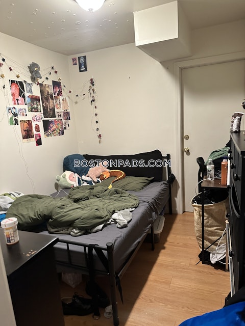 Shepherd Ave. Boston photo 18