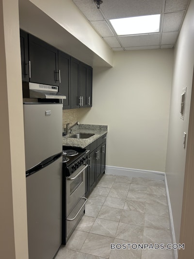 Chinatown Apartment for rent 1 Bedroom 1 Bath Boston - $3,150