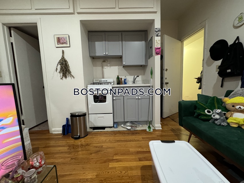 BOSTON - ALLSTON - Studio , 1 Bath - Image 4