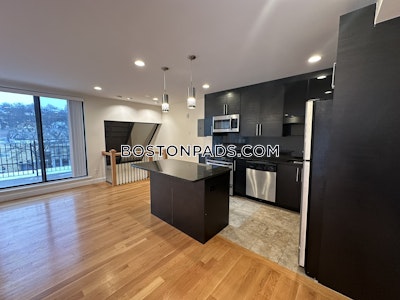 Brookline Apartment for rent 4 Bedrooms 3 Baths  Washington Square - $7,600 No Fee