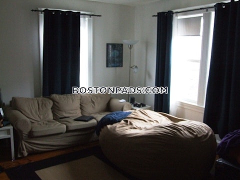 Summer St. Somerville photo 12