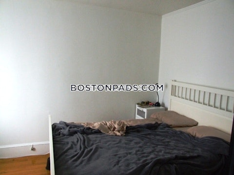 Summer St. Somerville photo 9