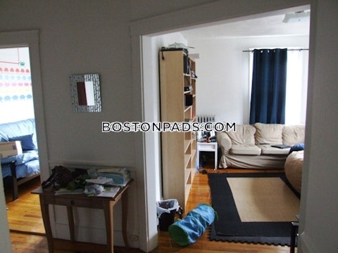 Summer St. Somerville photo 7