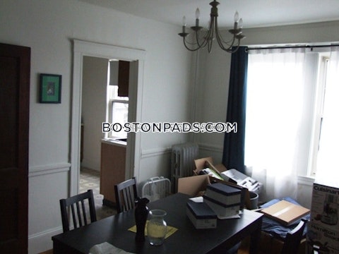 Summer St. Somerville photo 5