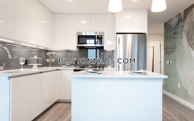 West End Apartment for rent 2 Bedrooms 2 Baths Boston - $8,896 No Fee