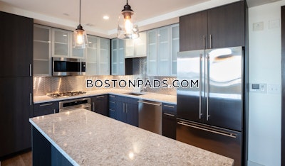 West End Apartment for rent 1 Bedroom 1 Bath Boston - $4,198