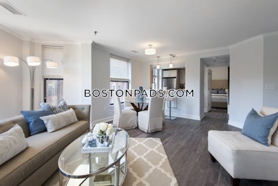 Back Bay 1 bedroom  baths Luxury in BOSTON Boston - $4,568