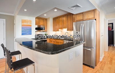 Brookline Apartment for rent Studio 2 Baths  Longwood Area - $2,865 No Fee