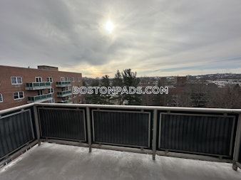 Freeman St. Brookline