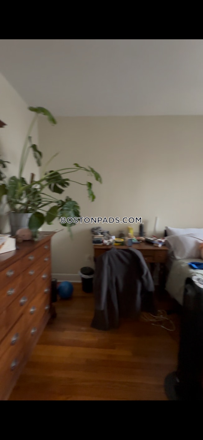 Boston - $3,700+ /mo