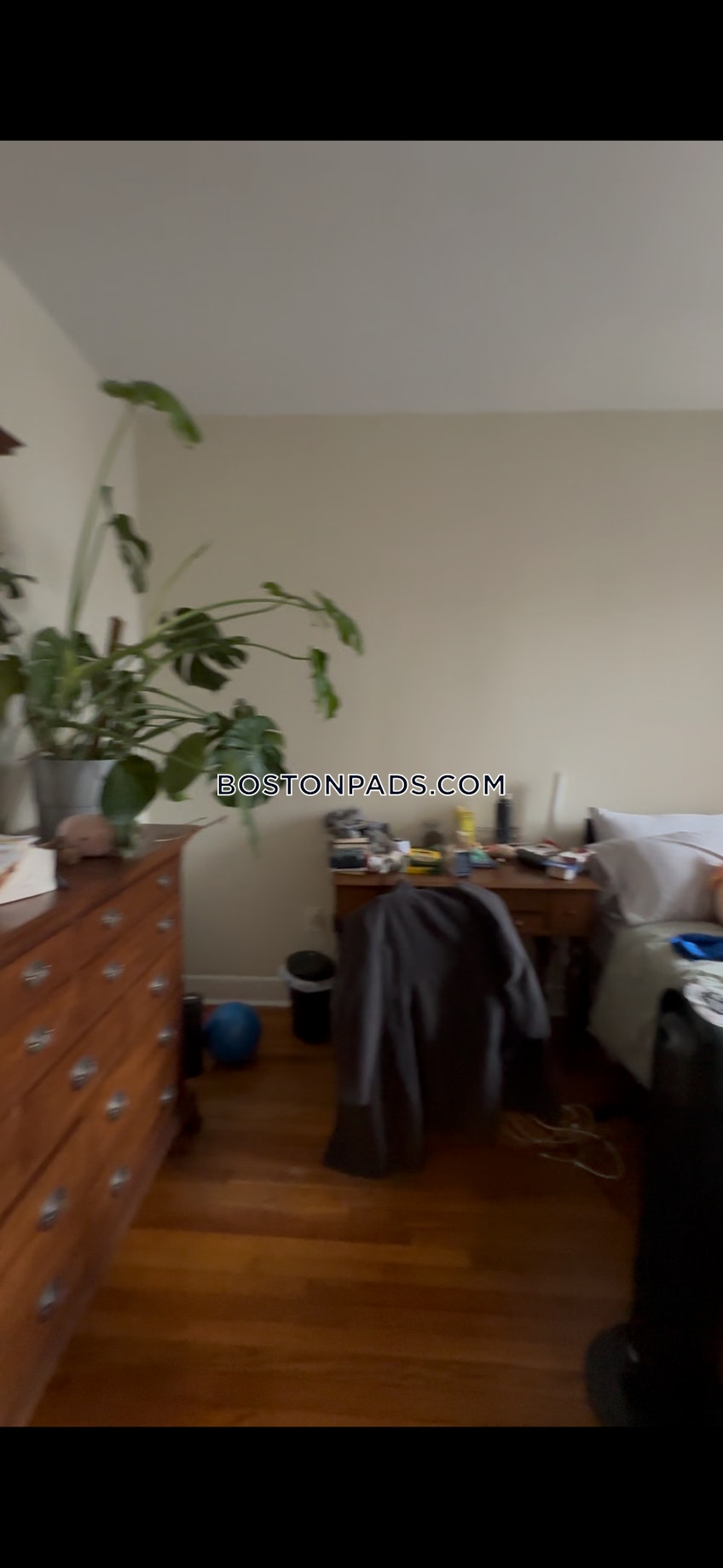 Boston - $3,700+ /month