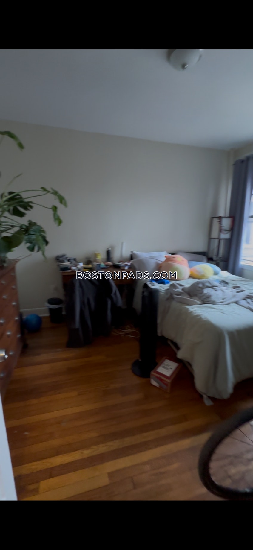 Boston - $3,700+ /month