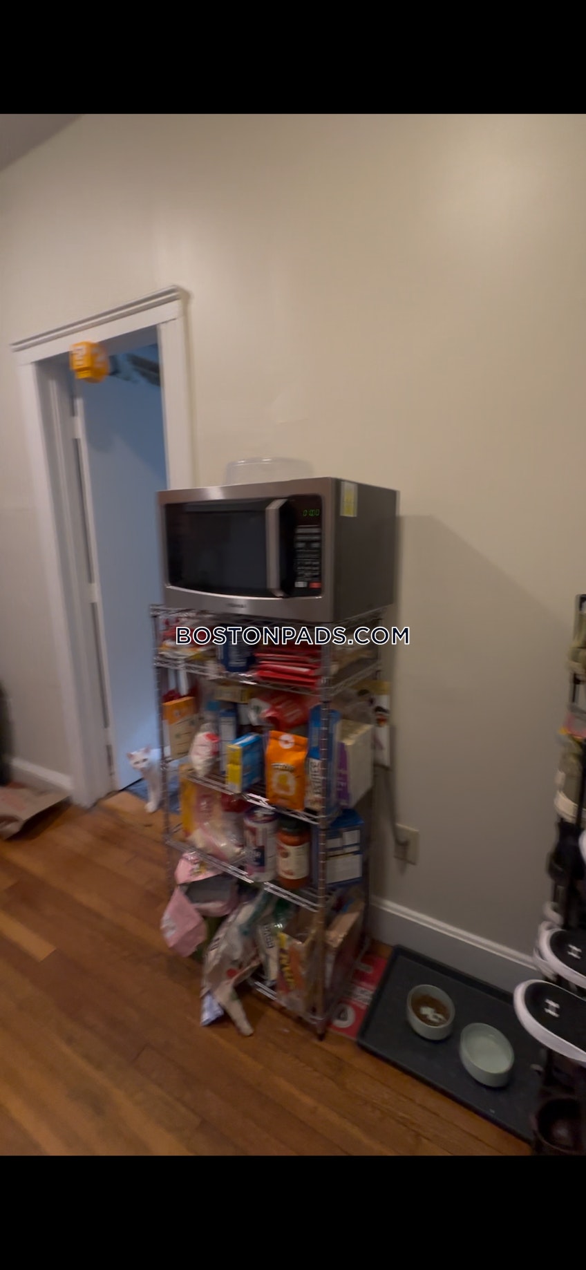 Boston - $3,700+ /month