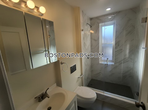 Mass Ave. Cambridge photo 39