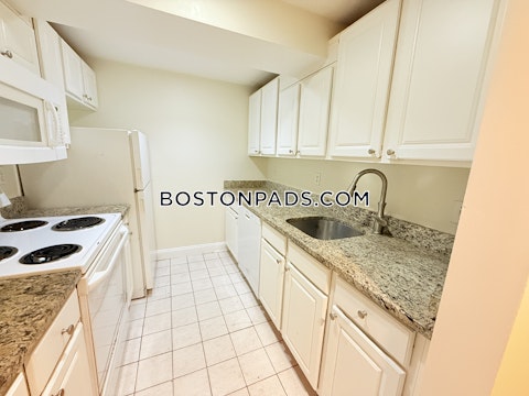 Commonwealth Ave. Boston photo 28