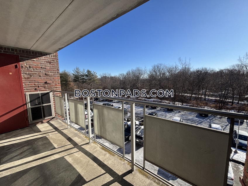 Belmont - $2,950+ /month