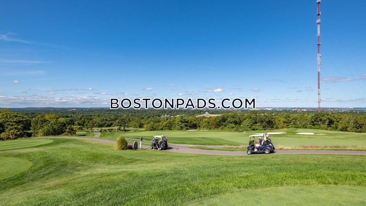 Ricciuti Dr., Quincy