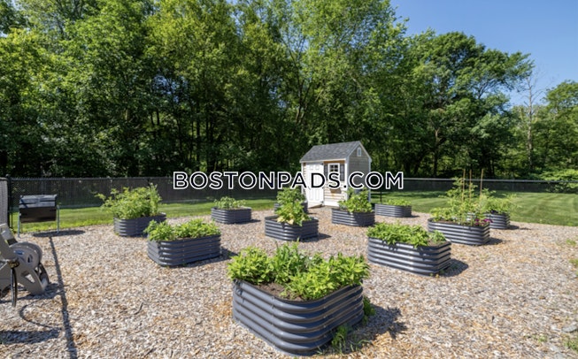 Norwood - $3,260+ /mo