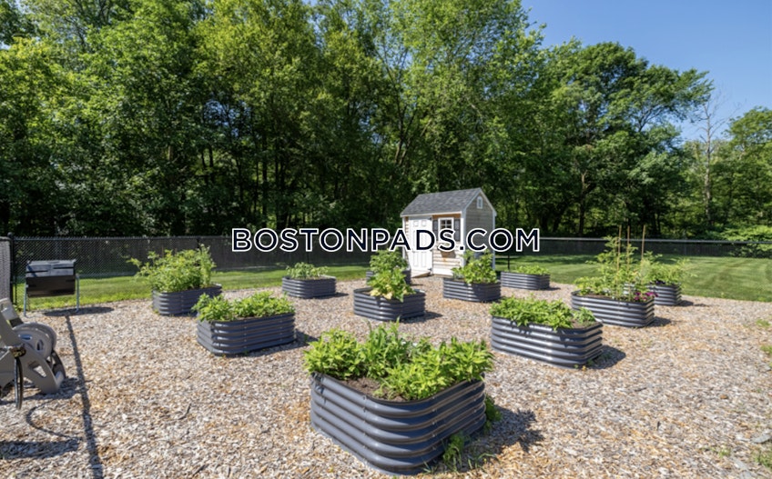 Norwood - $3,260+ /month