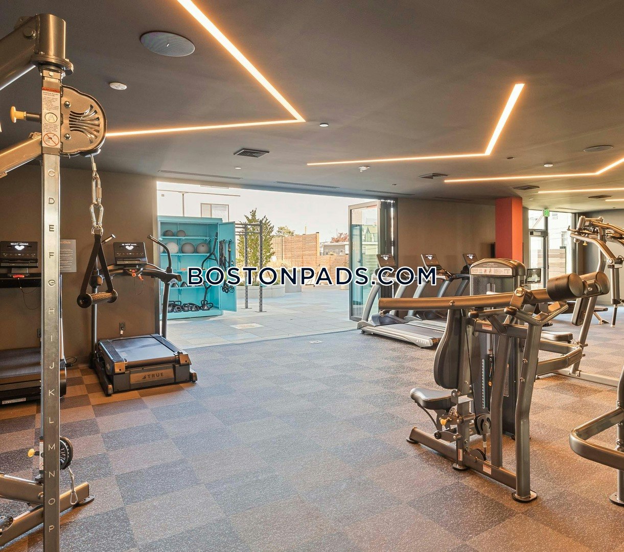 Harwich - 1 Beds, 1 Baths