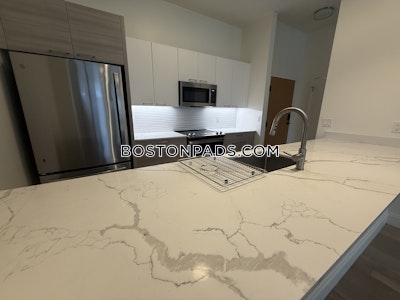 Allston 2 bedroom 2 baths in Boston Boston - $3,750 No Fee