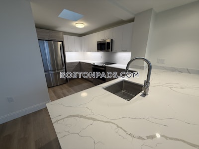 Allston 2 bedroom 2.5 baths in Boston Boston - $3,900 No Fee