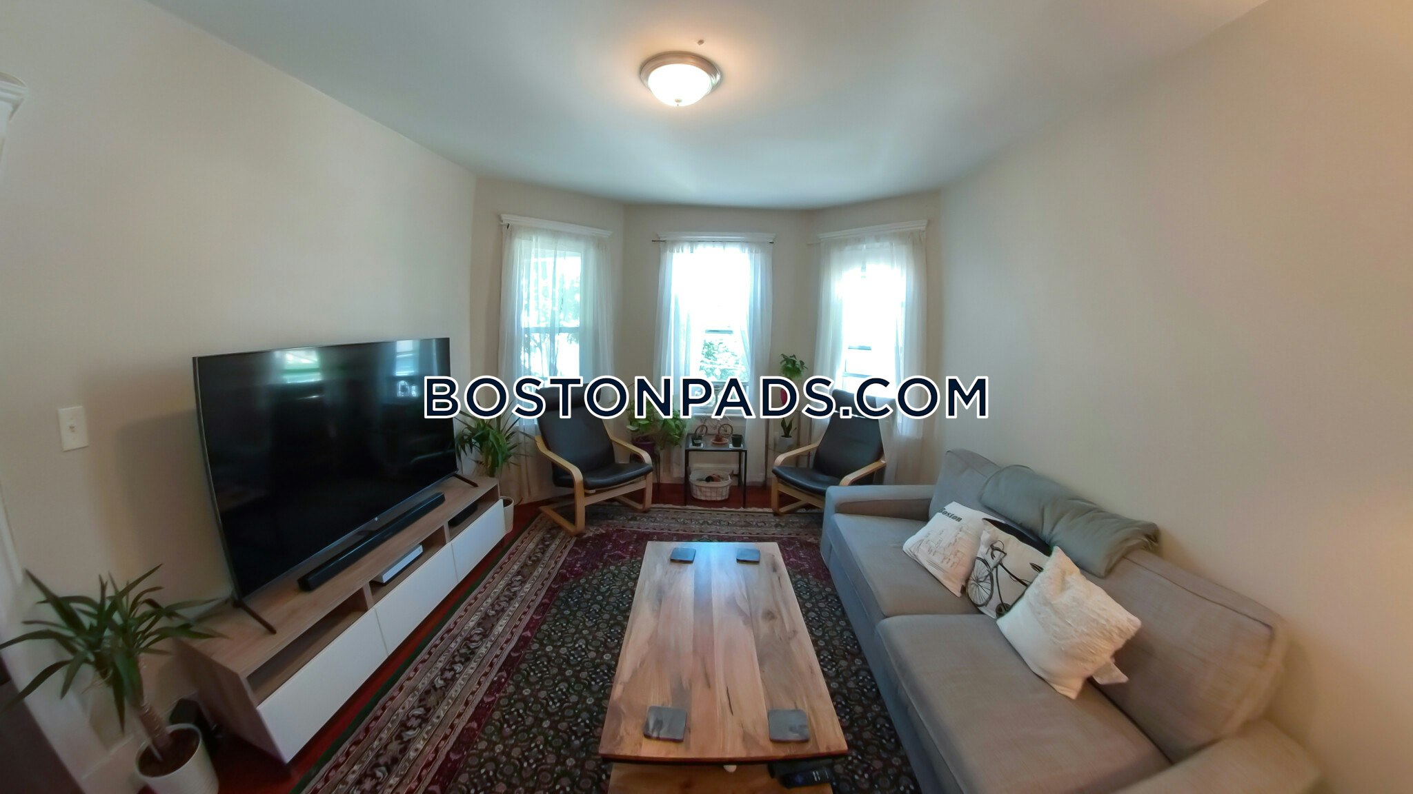 somerville-apartment-for-rent-2-bedrooms-1-bath-magounball-square-3500-8025245