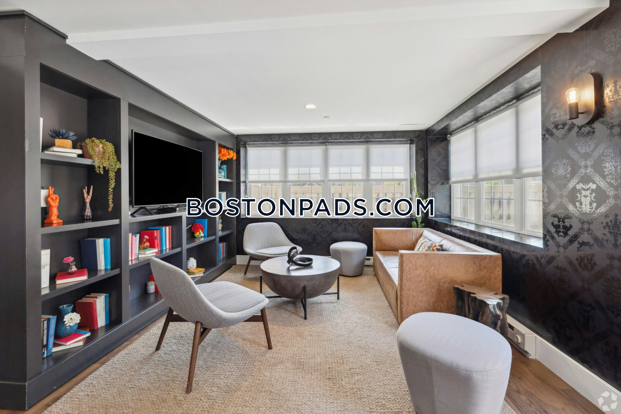  jamaica-plain - #8013261