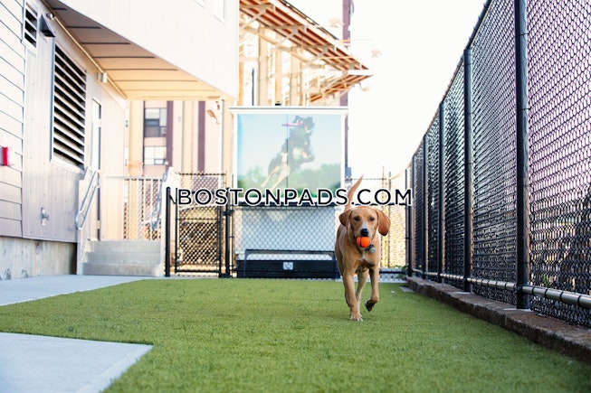 Boston - $3,050+ /mo